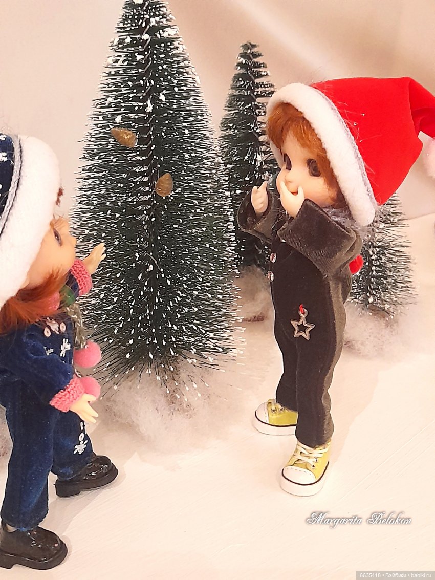 Заколдованная буква — Куклы и тела Obitsu 11 (Ob11): гибриды