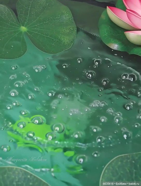 Разговор двух Лягушек | Бэйбики Разговор двух Лягушек — Болталка и разговоры обо всем: жизнь