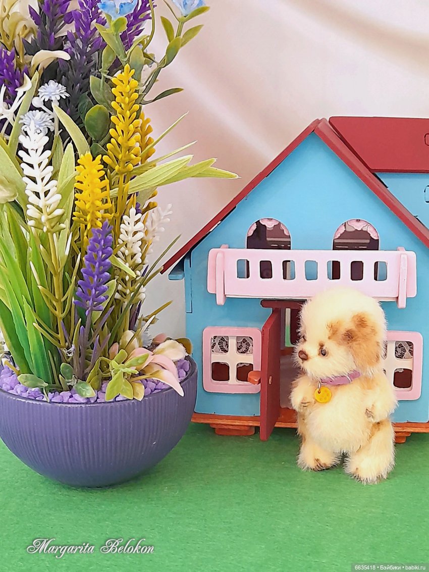 Сиреневая ветка — Разное