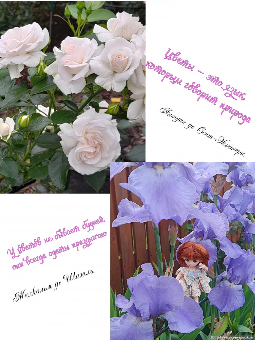 О чём могут «говорить» куклы