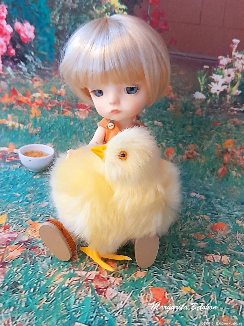 А где же курочка — Куклы Secretdoll (Секретдолл): BJD (БЖД)