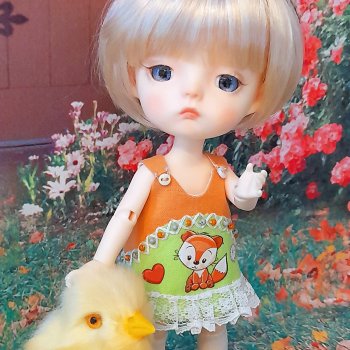 А где же курочка?