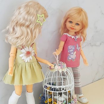 Куда поставим птичек?