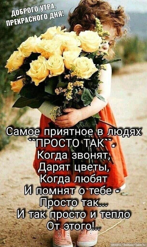 День дарения подарков — Интересное и необычное: фотоподборки