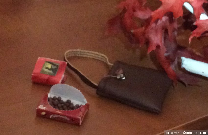 Я обещал вернуться этой осенью (фото 5)