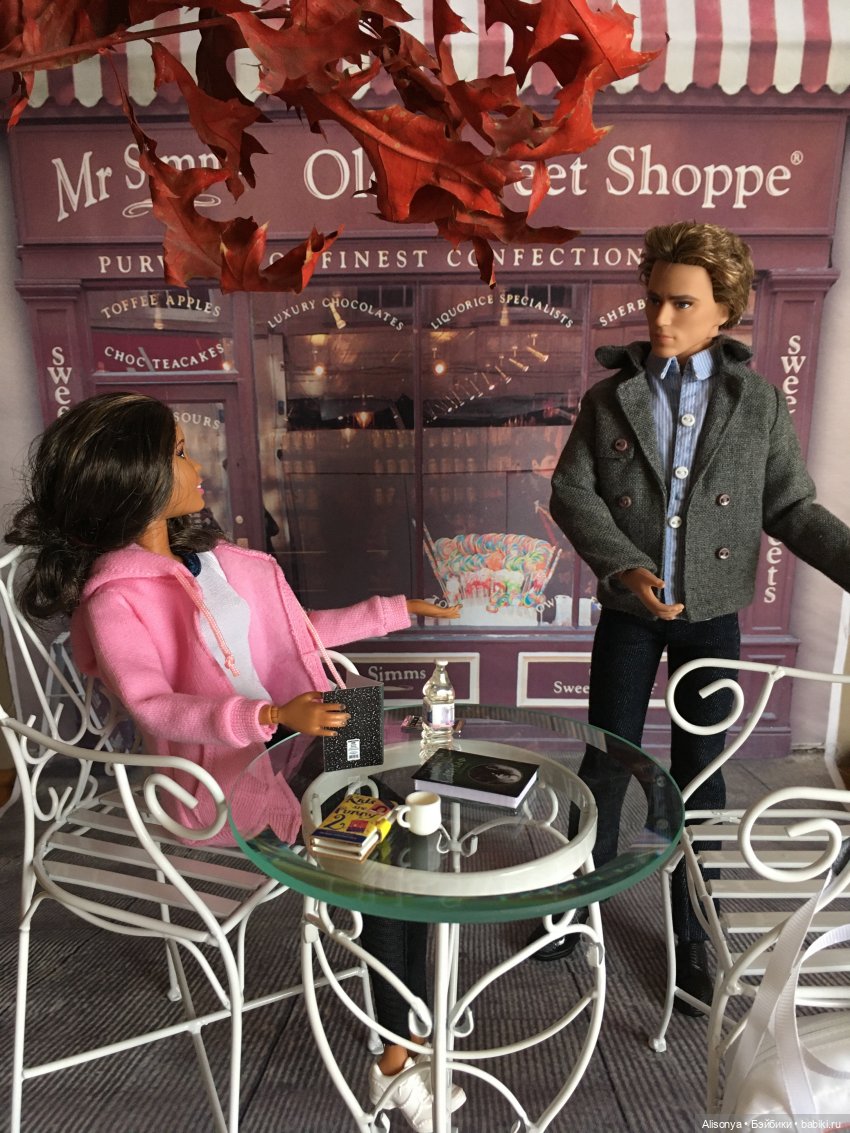 Ромашки для Саши. Серия 11