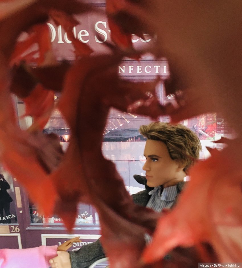 Ромашки для Саши. Серия 11