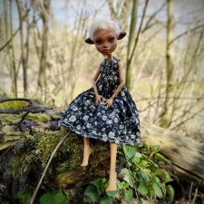 Из волчонка в...