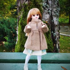 Эта странная ликка