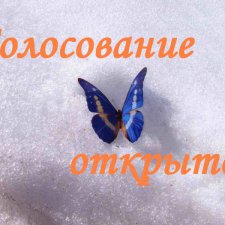 Мк"Амелия". Внимание! идет голосование