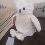 Сова из Австралии