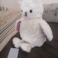 Сова из Австралии