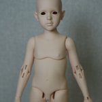 Продам Розу в цвете ориентал