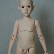 Продам Розу в цвете ориентал