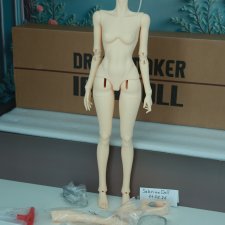 Продам тело impldol star model body