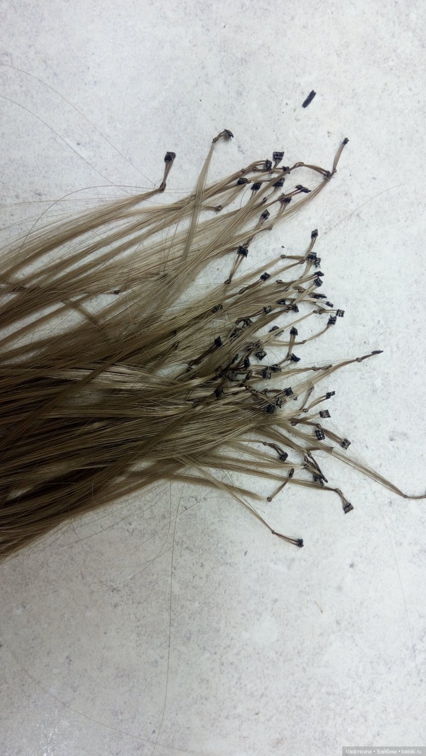 Одна Penny хорошо, а Penny + Annie ещё лучше (фото 8)