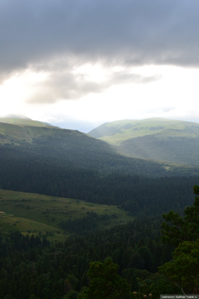 Путешествие эльфийки Мартины Berjuan biggers