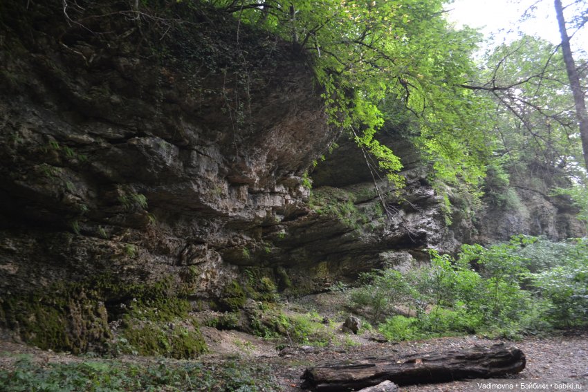 Путешествие эльфийки Мартины Berjuan biggers