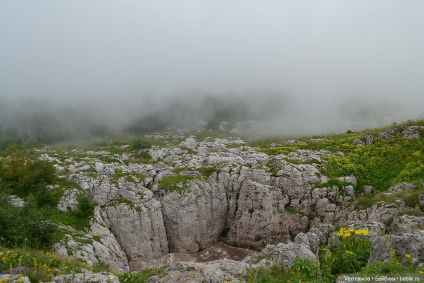 Путешествие эльфийки Мартины Berjuan biggers