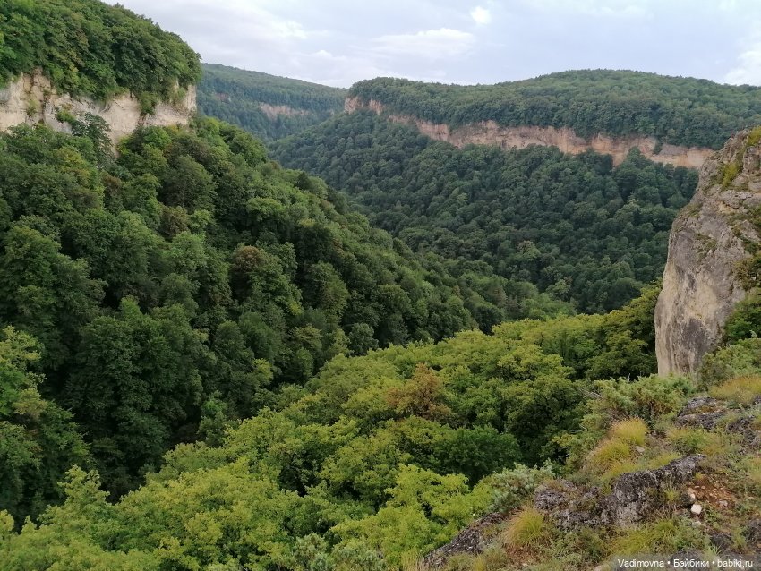 Путешествие эльфийки Мартины Berjuan biggers