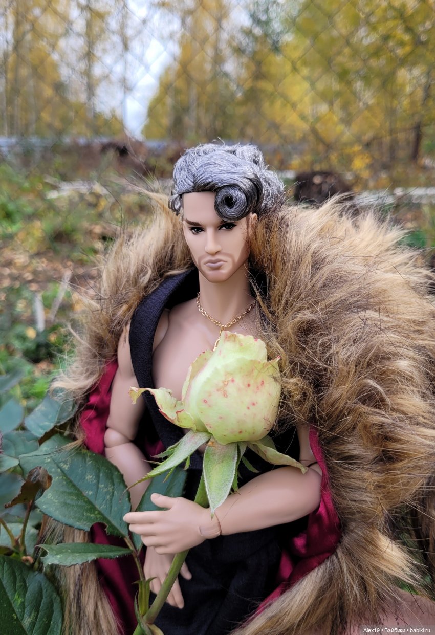 Мачо на даче — Разные шарнирные куклы (не БЖД): редкие