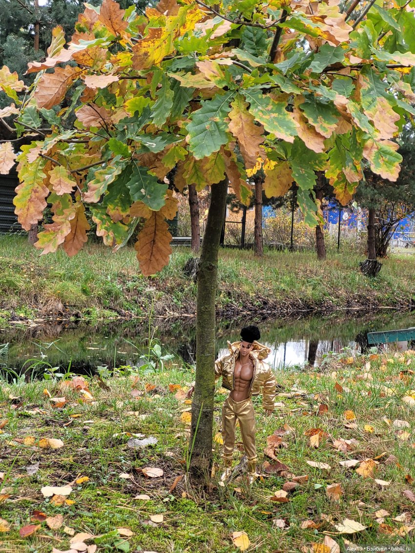 Мачо на даче — Разные шарнирные куклы (не БЖД): редкие (фото 2)