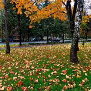 Осень с iplehouse