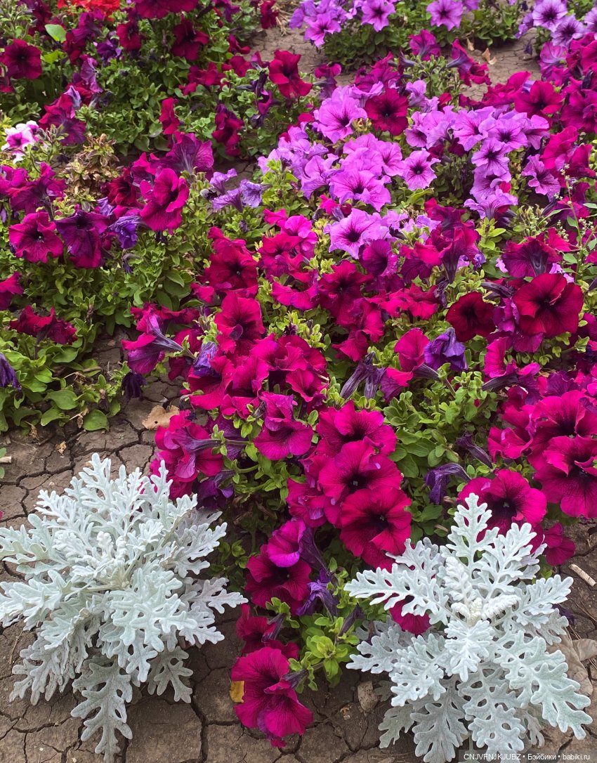 Моя кукольная коммуналочка