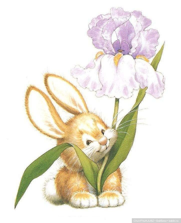 А мы опять с обновками — Домашние коллекции кукол: фото собраний