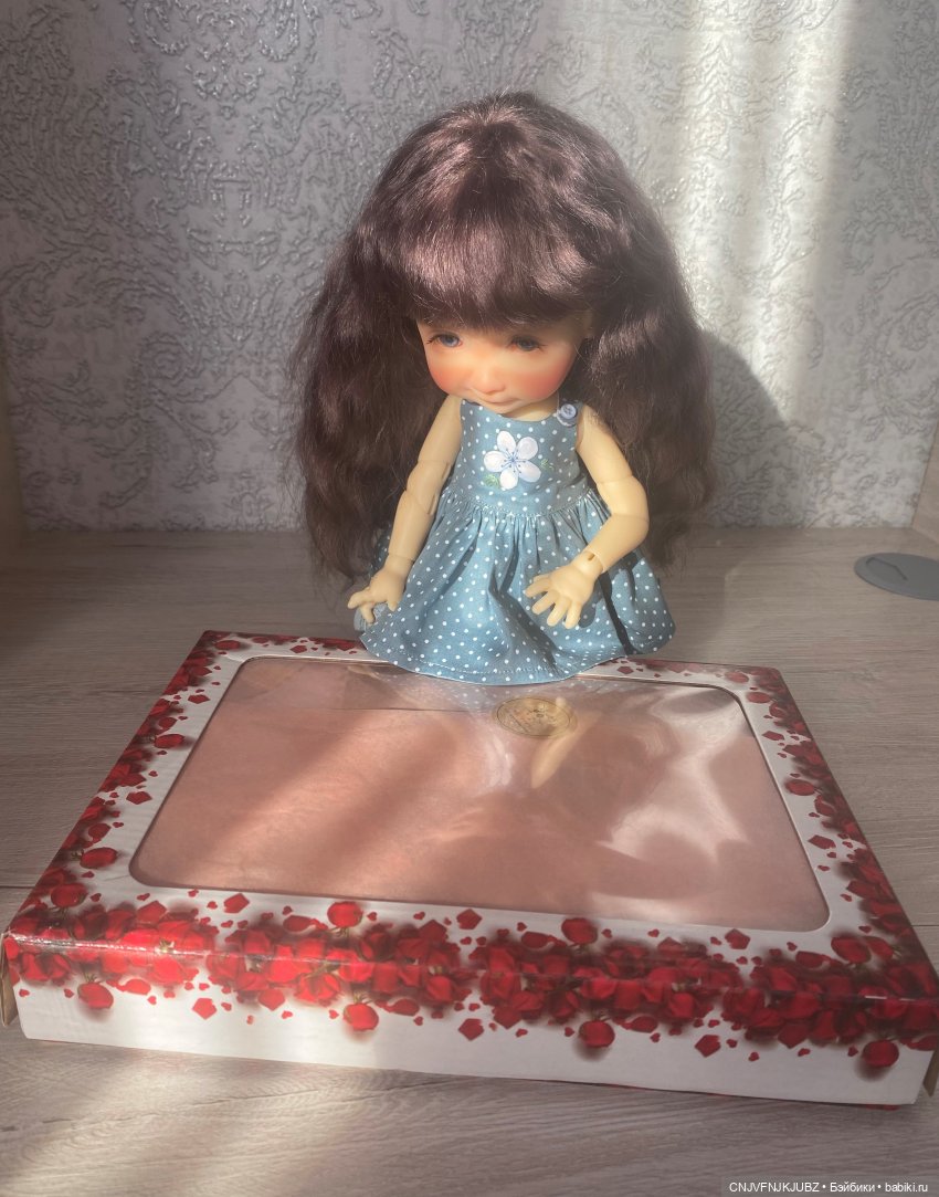 А мы опять с обновками — Домашние коллекции кукол: фото собраний