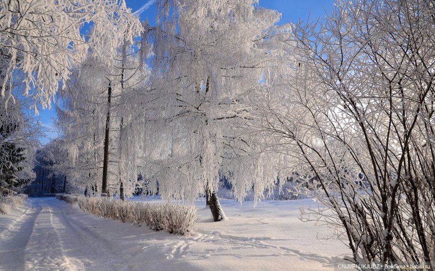 Забытые на верхней полочке