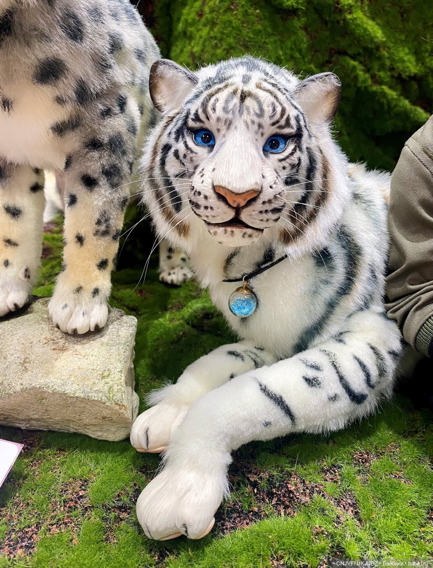 Мой первый Доллскар | Бэйбики Мой первый Доллскар — Выставки кукол и мишек Тедди: фоторепортажи