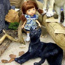 Люська на Доллскаре!