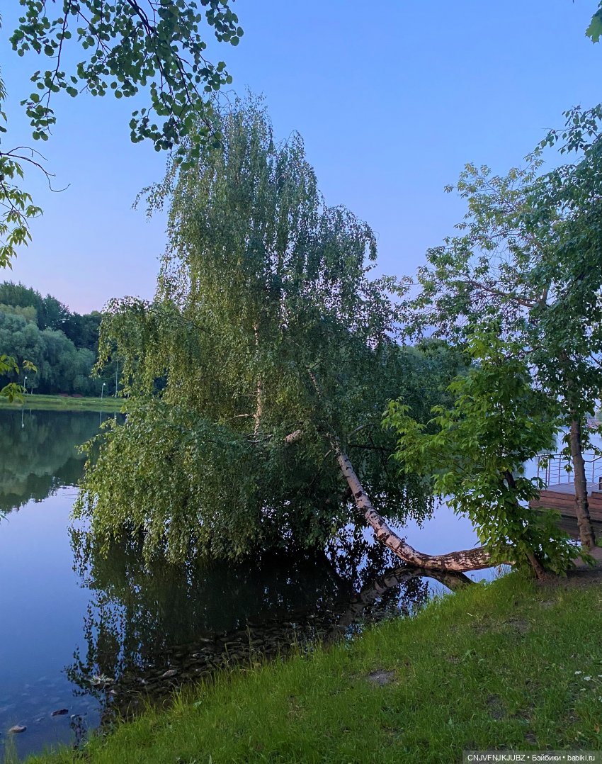 Люськина прогулка по Москве