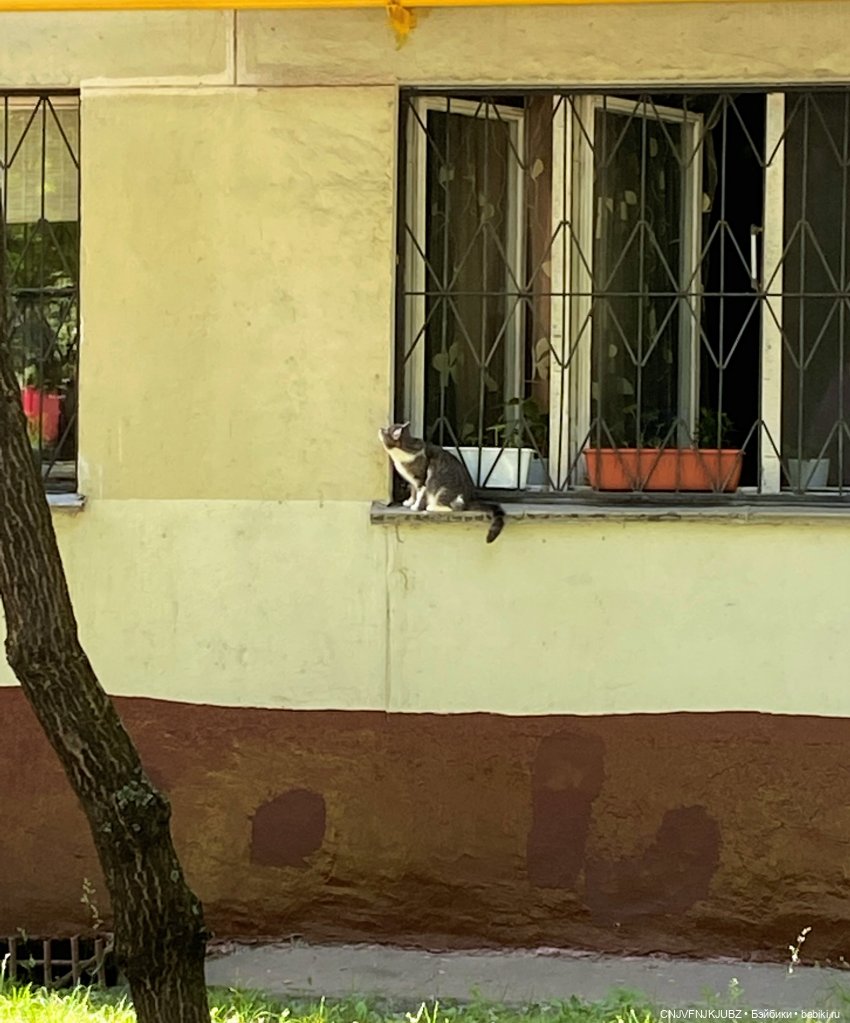 Люськина прогулка по Москве (фото 4)