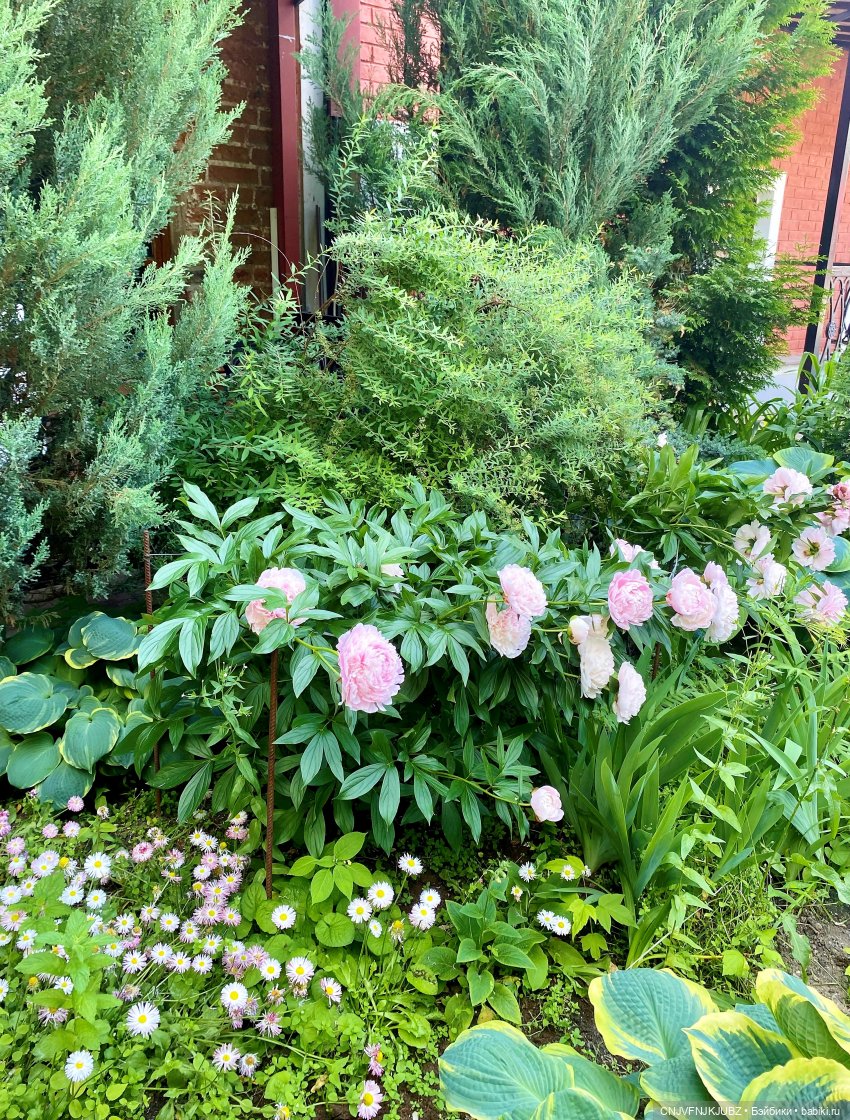 Люськина прогулка по Москве