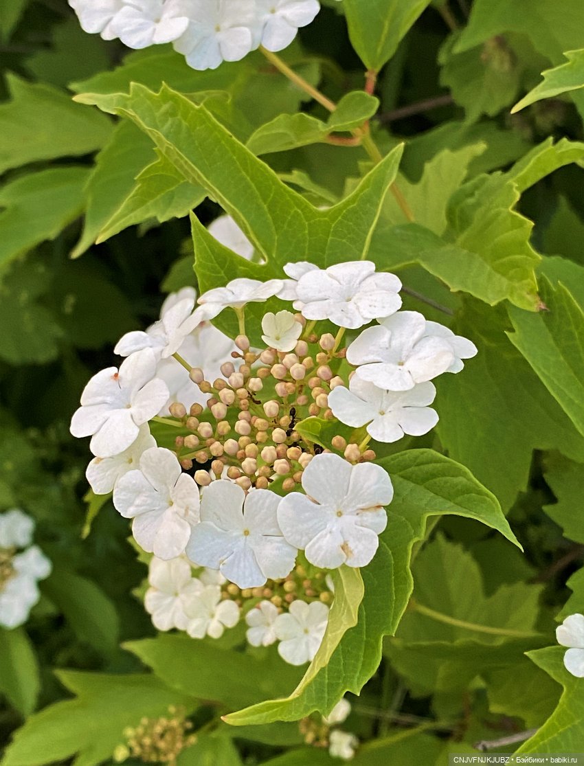 Люськина прогулка по Москве