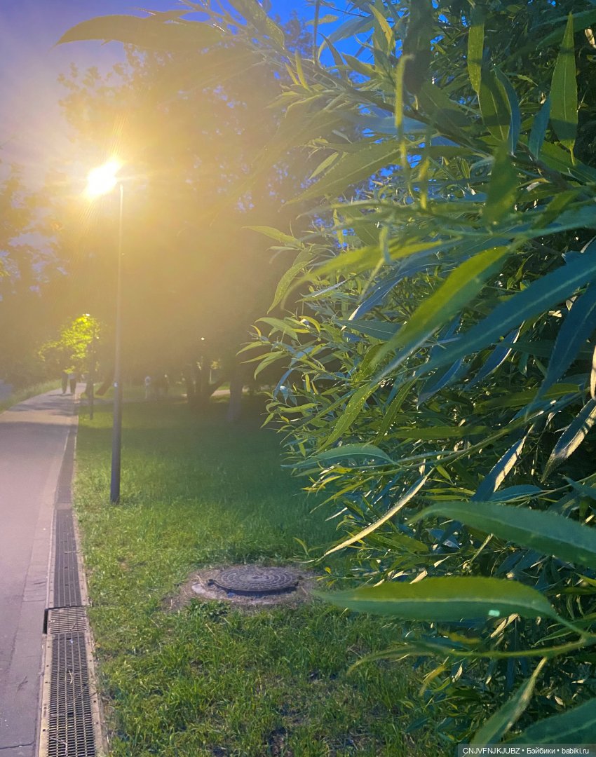 Люськина прогулка по Москве