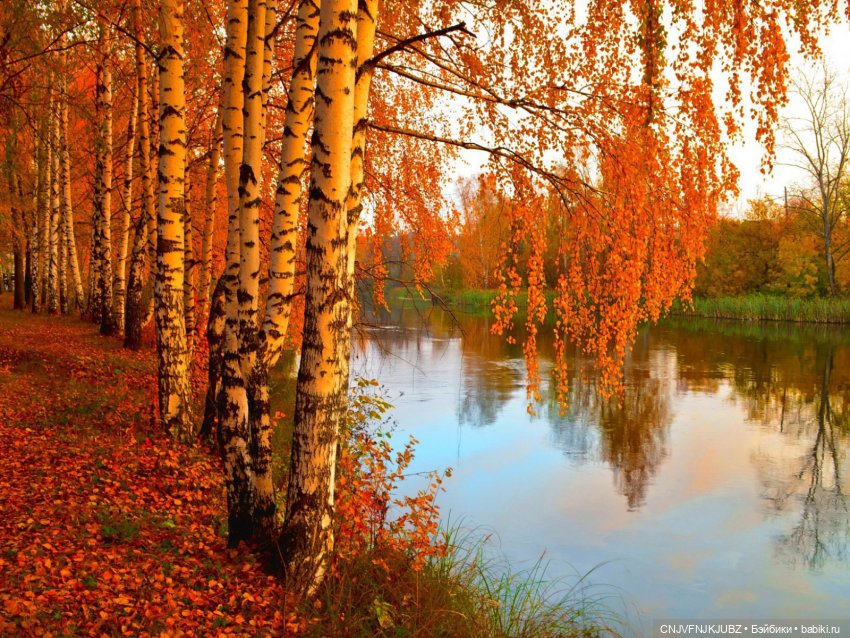 Праздничная Кэнди — Куклы Ruby Red (Руби Ред) Fashion Friends: Siblies