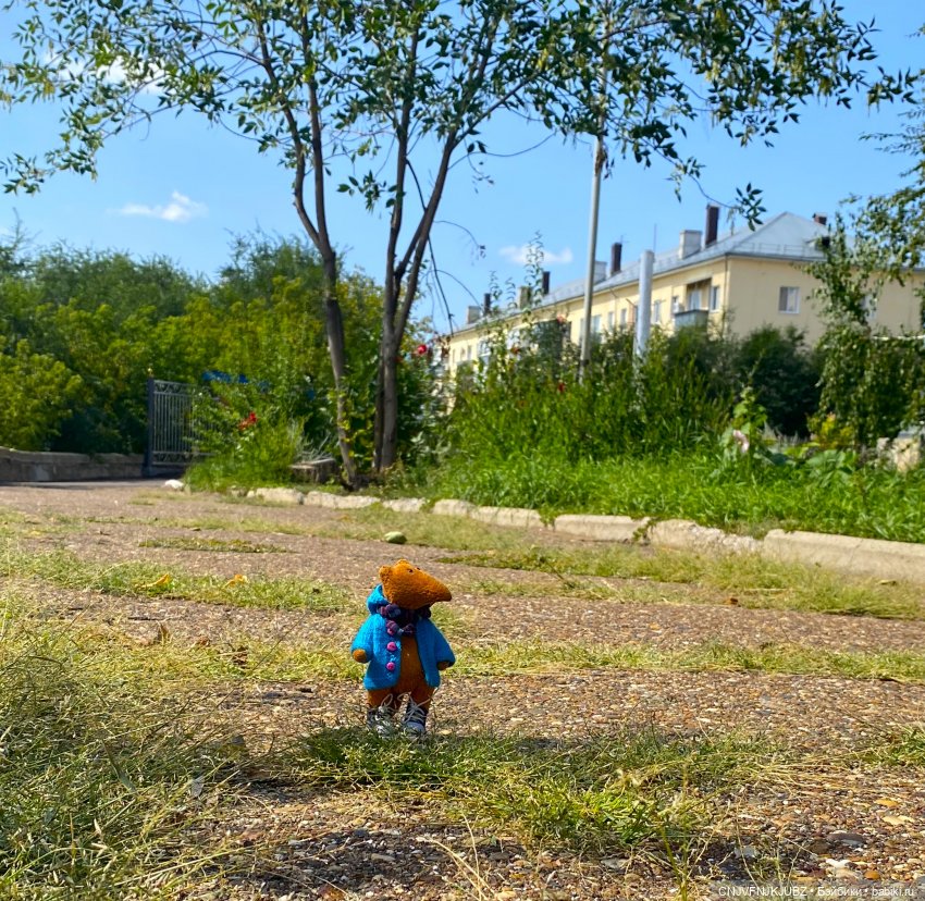 Внезапно прогулялись — Авторские мишки Тедди и друзья: фото