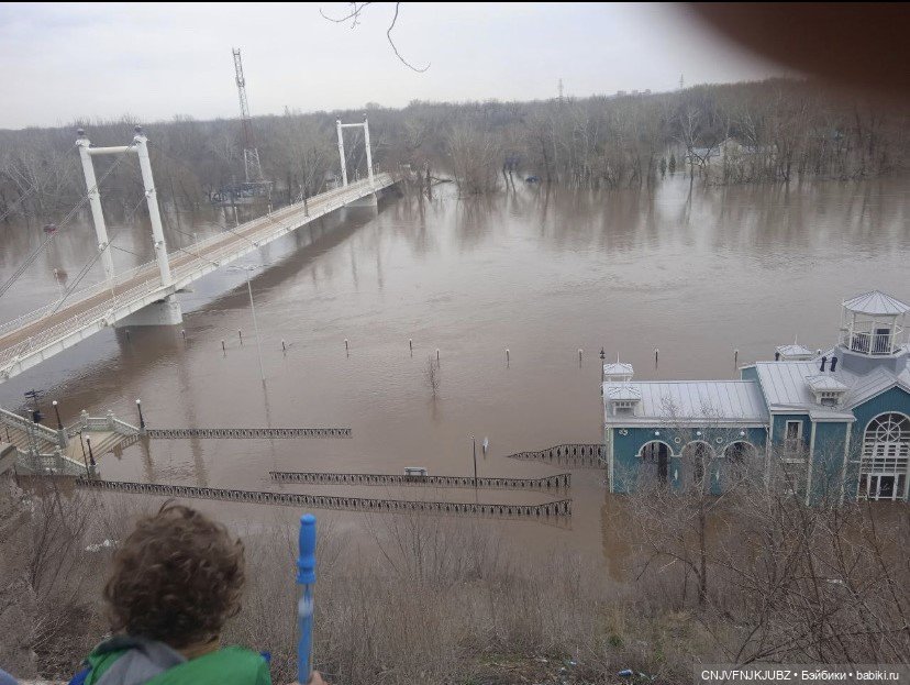 Внезапно прогулялись — Авторские мишки Тедди и друзья: фото