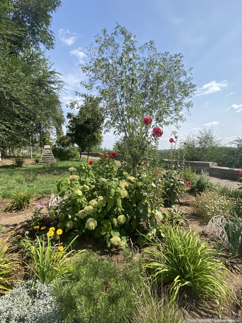 Внезапно прогулялись — Авторские мишки Тедди и друзья: фото