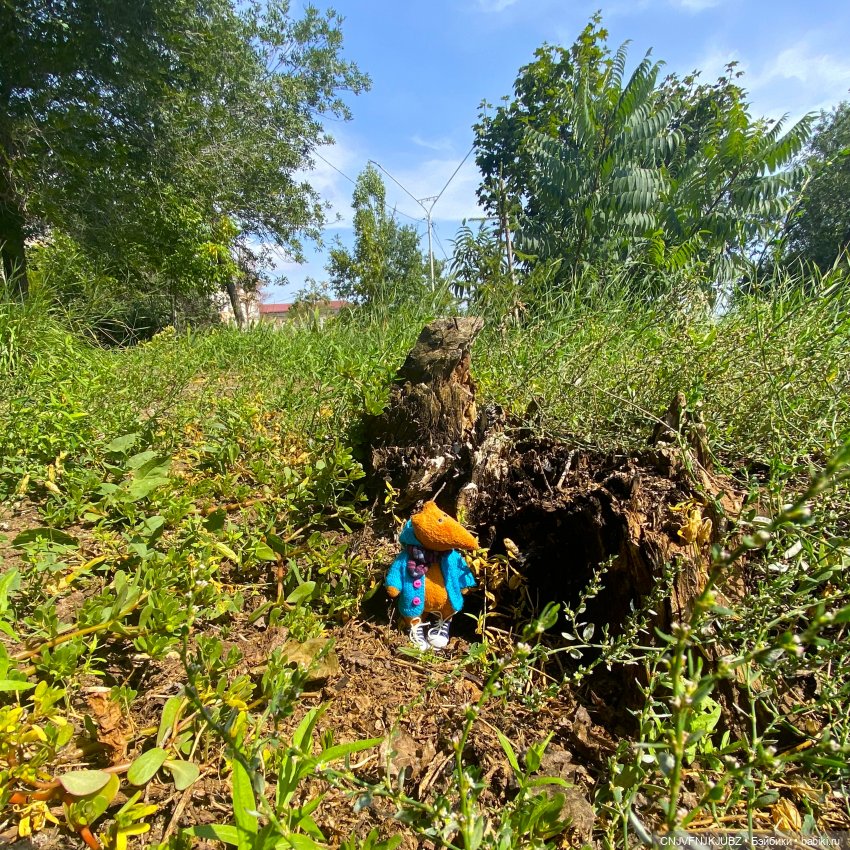 Внезапно прогулялись — Авторские мишки Тедди и друзья: фото