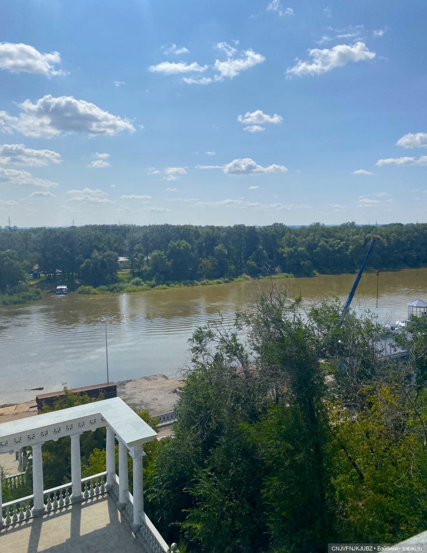 Внезапно прогулялись — Авторские мишки Тедди и друзья: фото