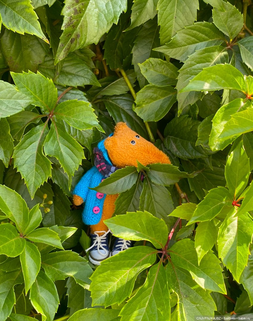 Внезапно прогулялись — Авторские мишки Тедди и друзья: фото