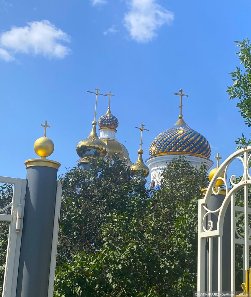 Внезапно прогулялись — Авторские мишки Тедди и друзья: фото