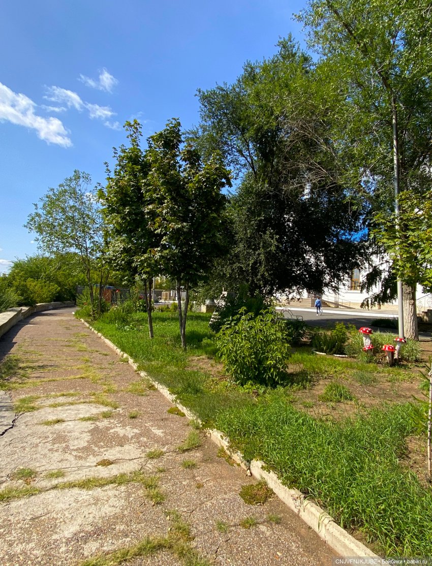 Внезапно прогулялись — Авторские мишки Тедди и друзья: фото