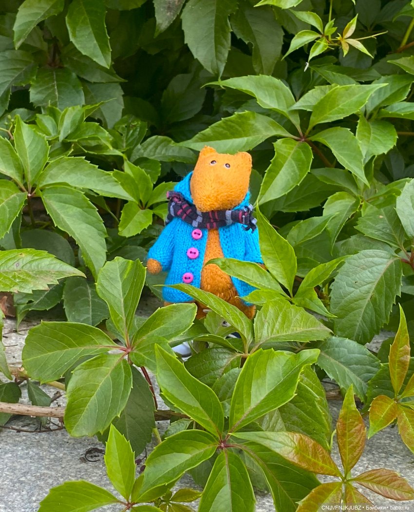 Внезапно прогулялись — Авторские мишки Тедди и друзья: фото