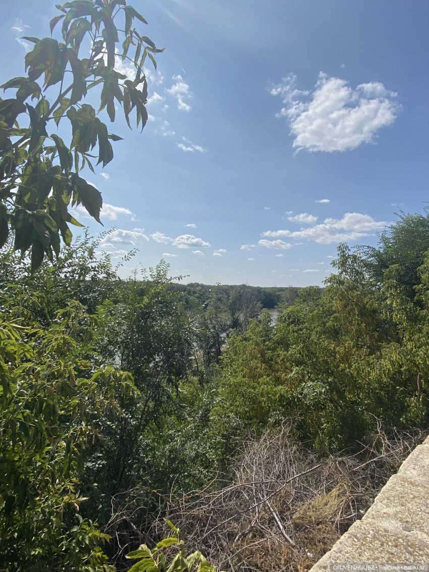 Внезапно прогулялись — Авторские мишки Тедди и друзья: фото