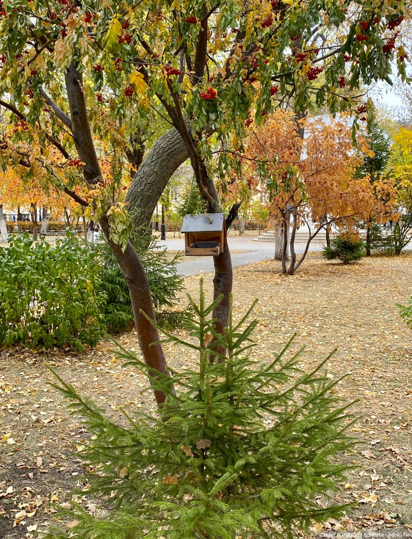 Внезапно прогулялись 2 — Культура